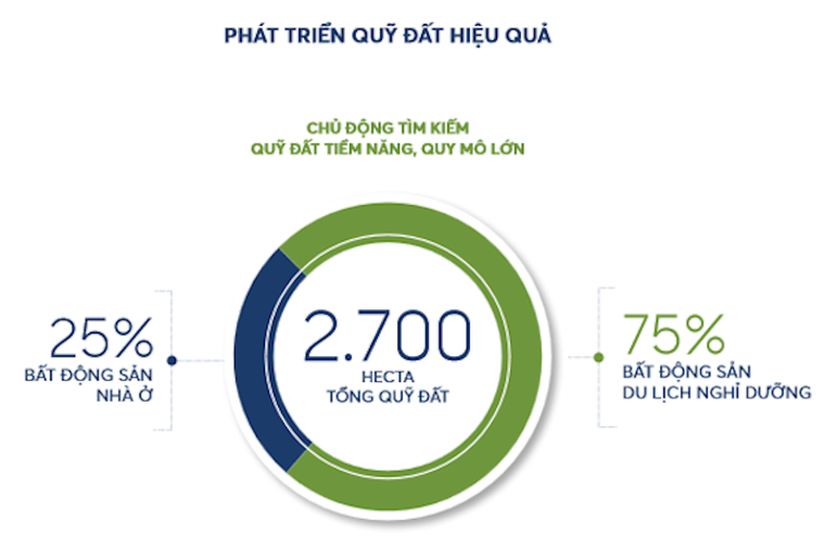 Chuyên gia cảnh báo rủi ro lớn với nợ vay vượt vốn của Novaland ảnh 2