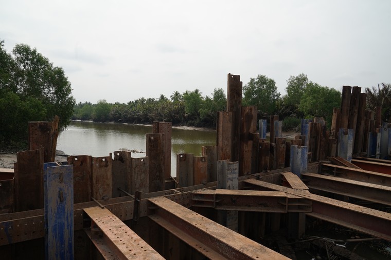 Thủ tướng: Bao giờ ĐBSCL không còn nhiễm mặn? ảnh 2