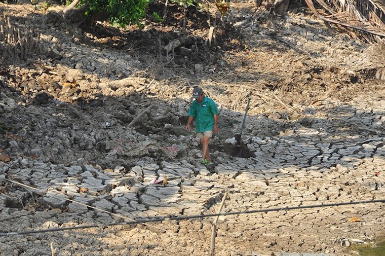 Hạn hán kỷ lục, gần trăm nghìn hộ dân miền Tây đang… khát nước ngọt ảnh 1