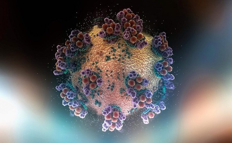 Đột phá trong thử nghiệm thuốc ngăn ngừa Covid-19 giai đoạn đầu ảnh 2