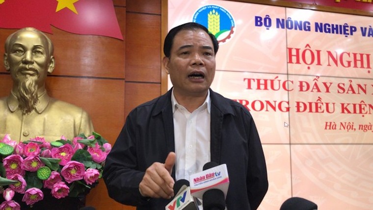 Bộ trưởng NN&PTNT nói gì về giá thịt lợn vẫn 'neo' cao? ảnh 1