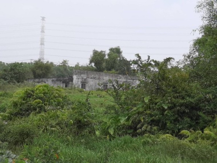 18 người liên quan vụ Tuấn ‘khỉ’ bắn chết người trong sới bạc bị đề nghị truy tố ảnh 1