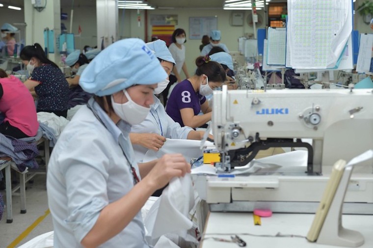 Thị trường nội địa không dễ 'giải cứu' ngành Dệt may ảnh 1