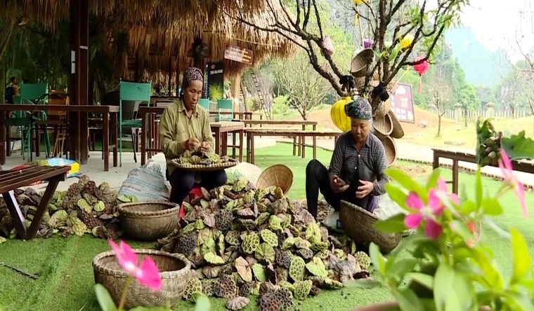 Ninh Bình: Đẩy mạnh du lịch nông nghiệp và nông thôn ảnh 1