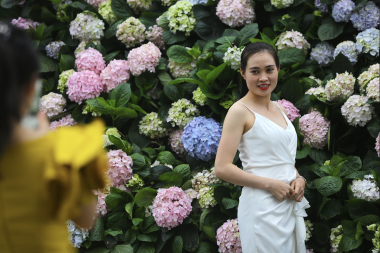 Hàng vạn du khách dự khai mạc lễ hội hoa tại Sầm Sơn ảnh 3