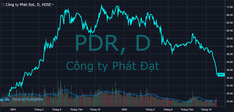 Cổ phiếu Bất động sản Phát Đạt lao dốc, Chủ tịch Nguyễn Văn Đạt bị buộc bán giải chấp ảnh 1