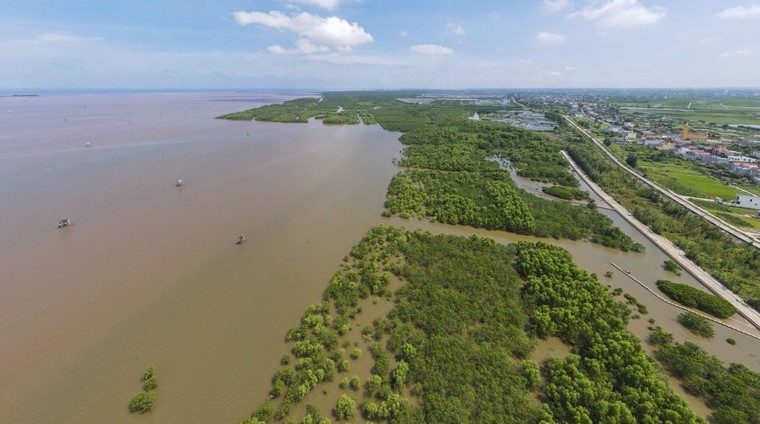 Bộ TNMT đề nghị tỉnh Thái Bình làm rõ việc thu hẹp khu bảo tồn thiên nhiên Tiền Hải ảnh 1