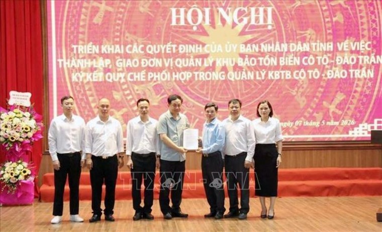 Thiết lập "lá chắn xanh" bảo vệ đa dạng sinh học biển tại Cô Tô - Đảo Trần ảnh 1