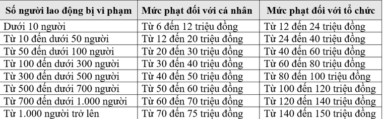 Trốn đóng BHXH bắt buộc có thể bị phạt đến 150 triệu đồng ảnh 1