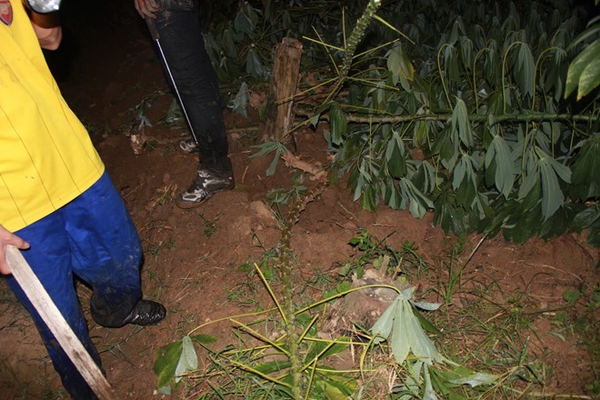 Hàng trăm người xuyên đêm truy lùng kẻ giết 4 bà cháu ảnh 7