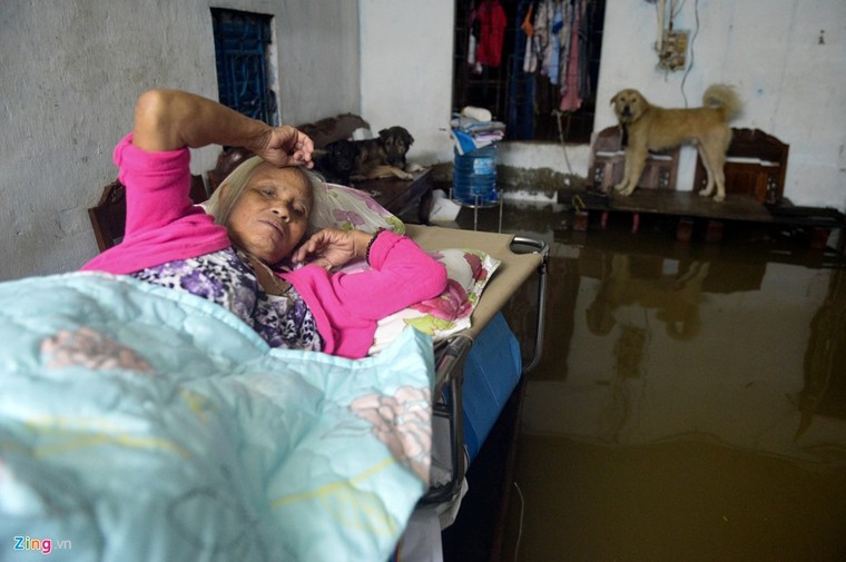 500.000 mỗi lượt đẩy ô tô qua chỗ ngập lụt ảnh 12