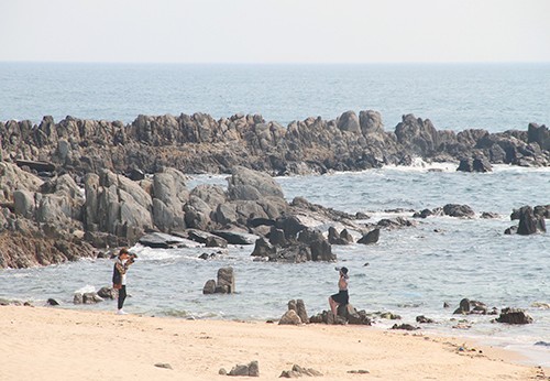 Hà Tĩnh phản đối ý tưởng tour du lịch Formosa ảnh 1