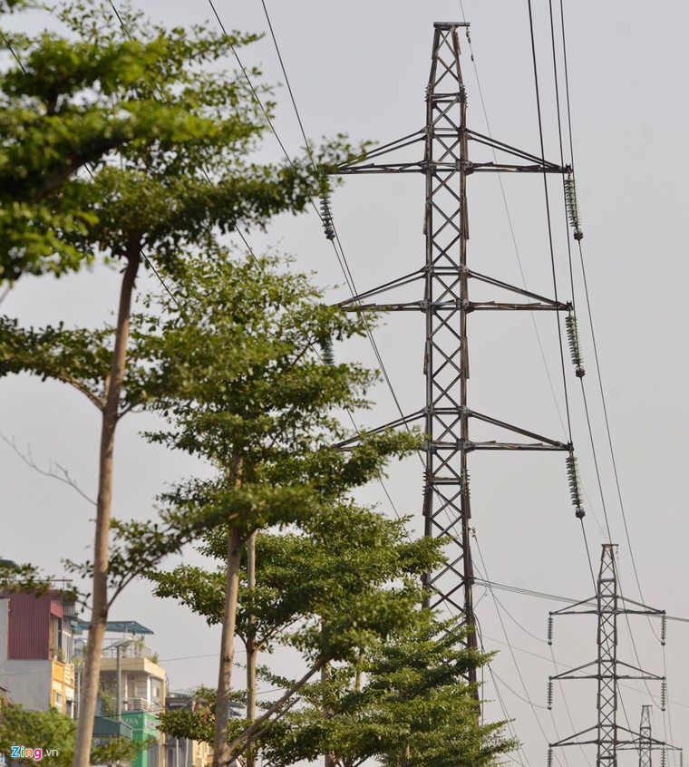 Hà Nội trồng cây dưới lưới điện 110 KV ảnh 3