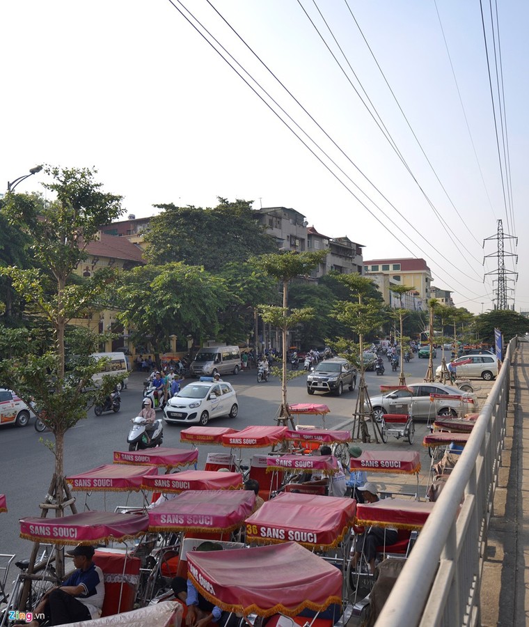 Hà Nội trồng cây dưới lưới điện 110 KV ảnh 5