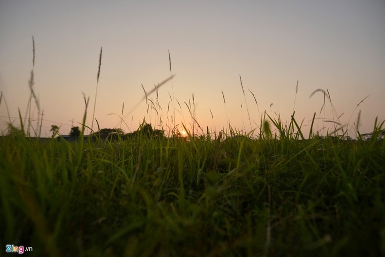 Khu sinh thái nghỉ dưỡng thành nơi chăn bò ảnh 10