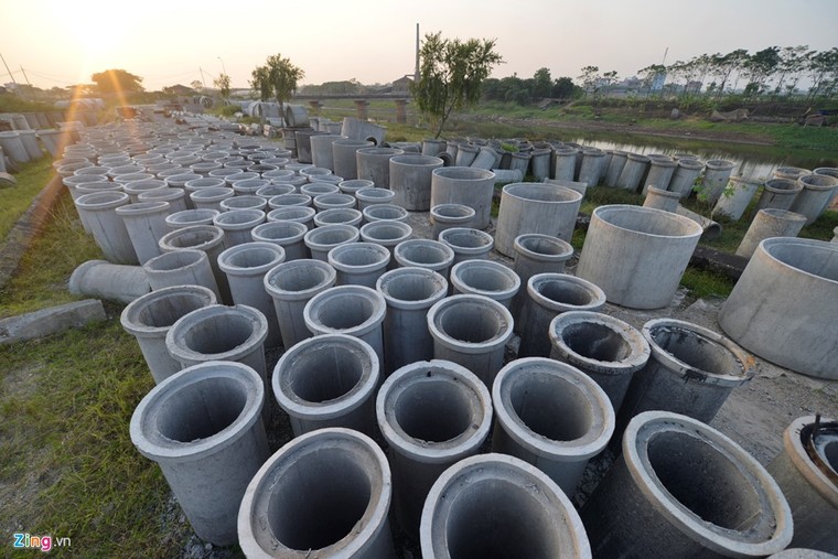 Khu sinh thái nghỉ dưỡng thành nơi chăn bò ảnh 4