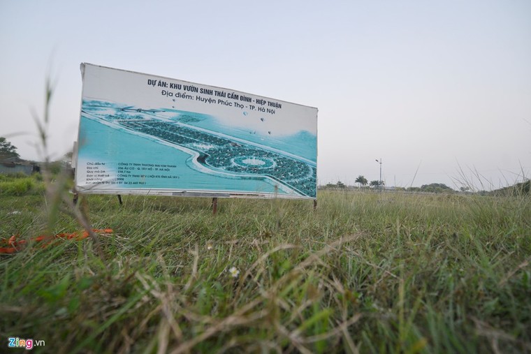 Khu sinh thái nghỉ dưỡng thành nơi chăn bò ảnh 1