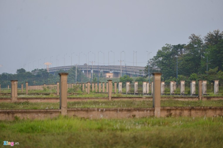 Khu sinh thái nghỉ dưỡng thành nơi chăn bò ảnh 2