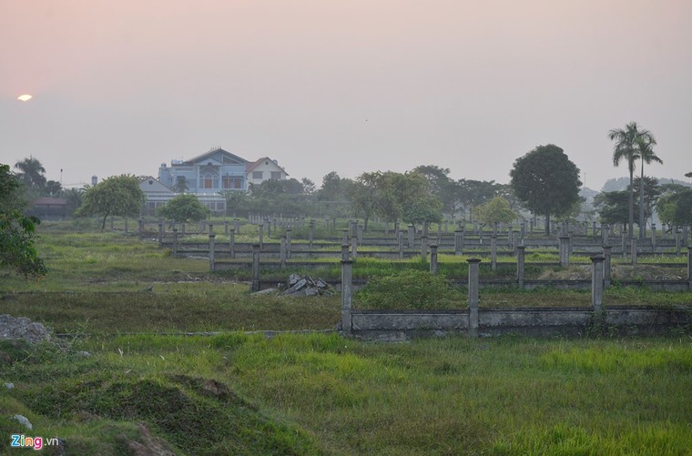 Khu sinh thái nghỉ dưỡng thành nơi chăn bò ảnh 6