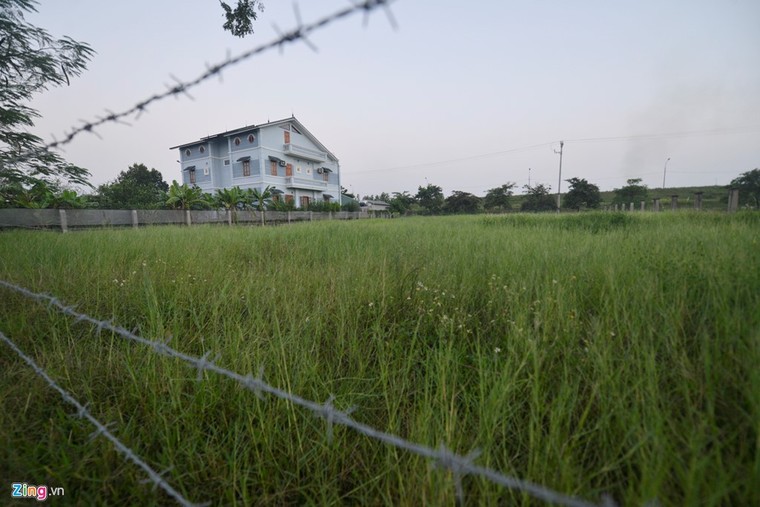 Khu sinh thái nghỉ dưỡng thành nơi chăn bò ảnh 9