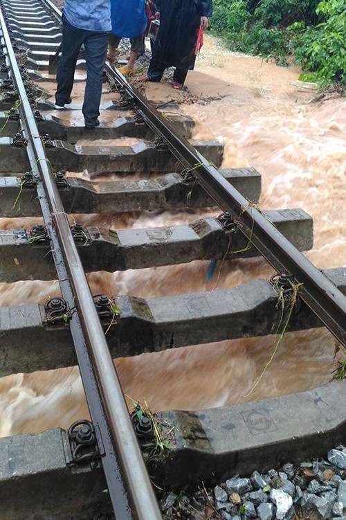 Lụt ngập nóc nhà ở Quảng Bình ảnh 6