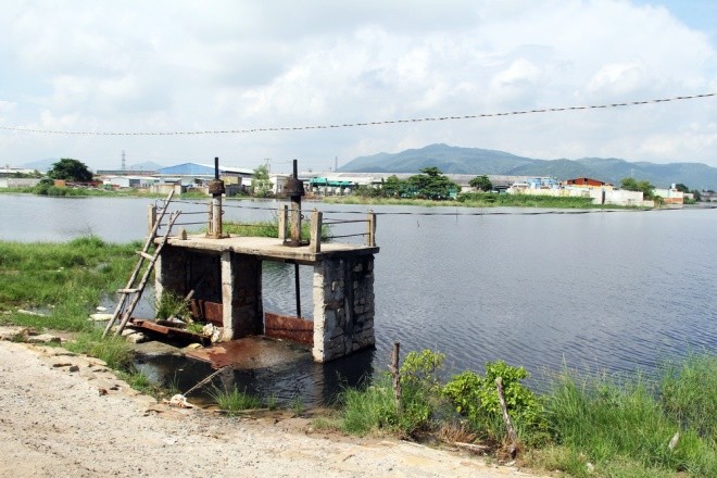 Người dân làng bè Vũng Tàu điêu đứng vì cá chết trắng ảnh 10