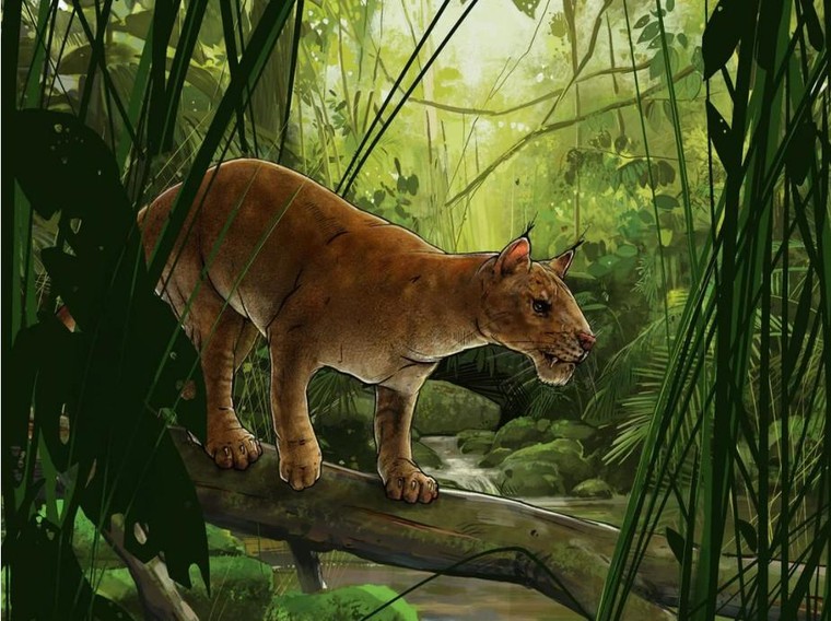 Mỹ: Phát hiện chấn động về loài động vật răng kiếm cổ xưa nhất thế giới ảnh 1