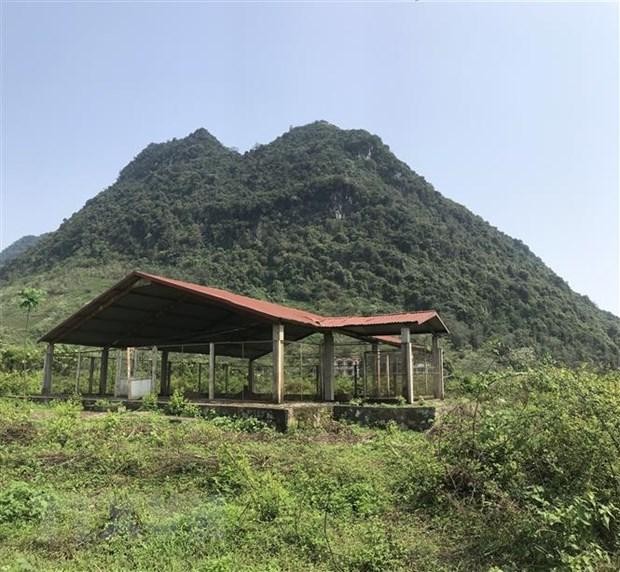 Hoàng thành Yên Bái hoang hóa sau nhiều năm bị lãng quên ảnh 1