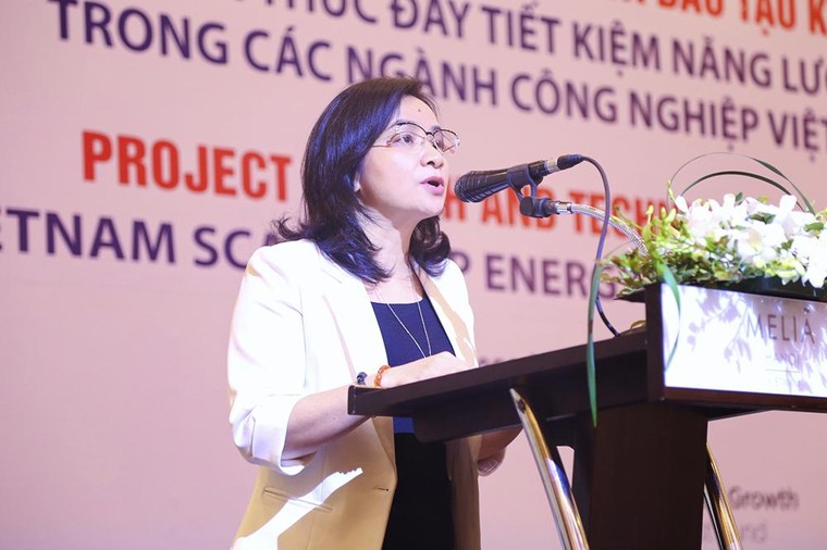 Thúc đẩy khối doanh nghiệp công nghiệp kiên định mục tiêu tiết kiệm năng lượng ảnh 3