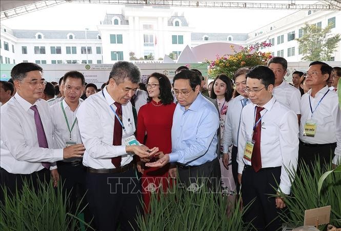 Thủ tướng: Khởi nghiệp nông nghiệp phải dựa vào 3 trụ cột ảnh 4