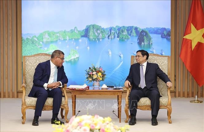 Việt Nam có tiềm năng lớn về điện gió, điện mặt trời ảnh 1