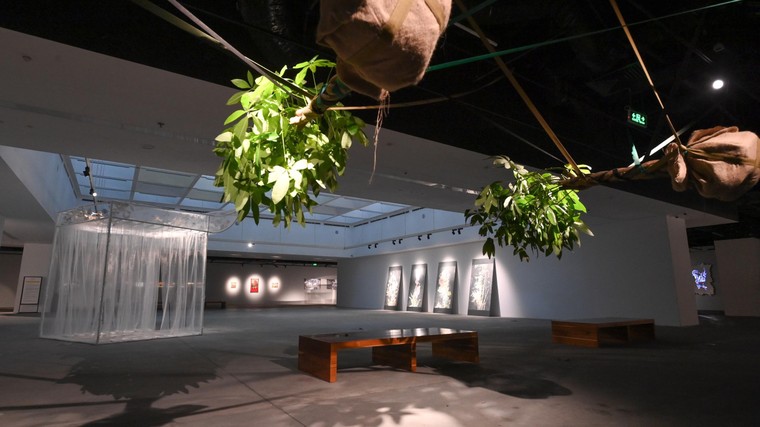 Khai mạc triển lãm 'Tỏa IV' ảnh 4