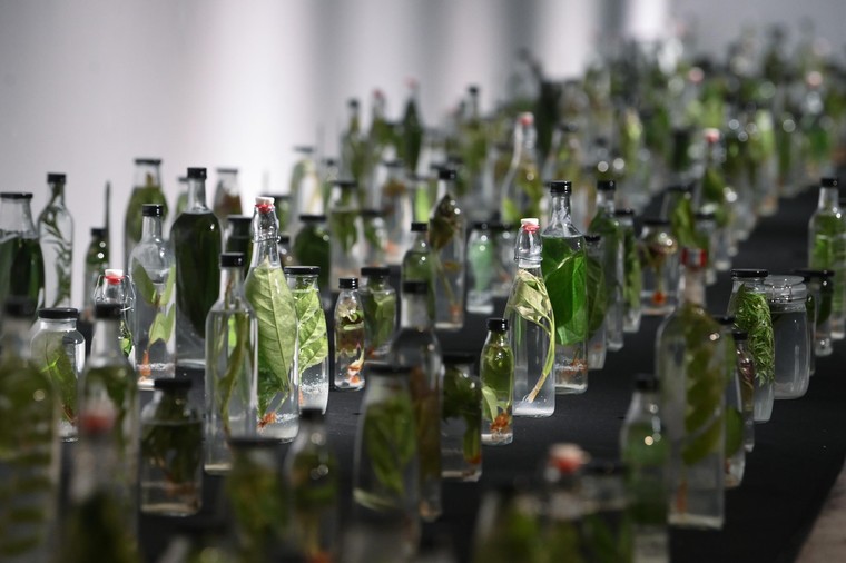 Khai mạc triển lãm 'Tỏa IV' ảnh 5