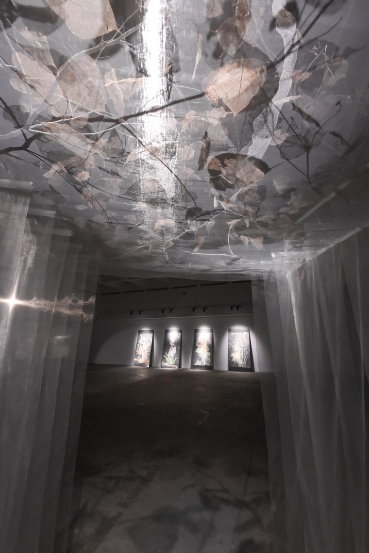 Khai mạc triển lãm 'Tỏa IV' ảnh 8