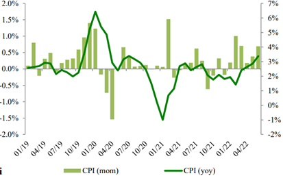 Tìm cổ phiếu trú ẩn giữa bão lạm phát ảnh 1
