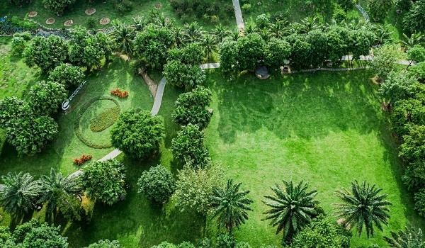 Những mảng rừng xanh vun đắp tâm hồn tại KĐT Ecopark ảnh 2