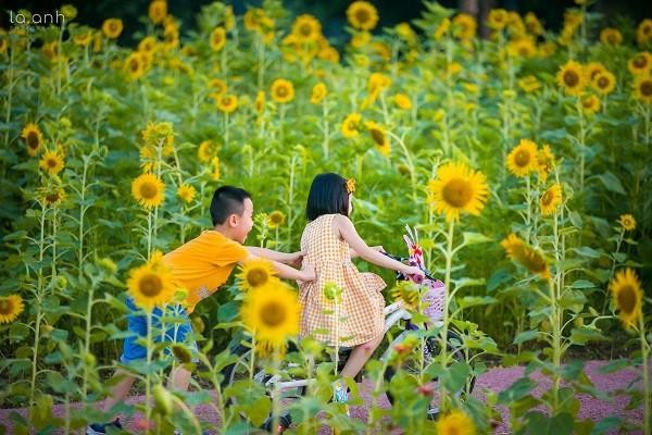 Những mảng rừng xanh vun đắp tâm hồn tại KĐT Ecopark ảnh 8