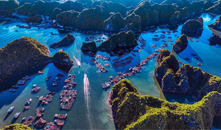 Nhiếp ảnh gia Vũ Hải nhận Kỷ lục Quốc gia ảnh 1