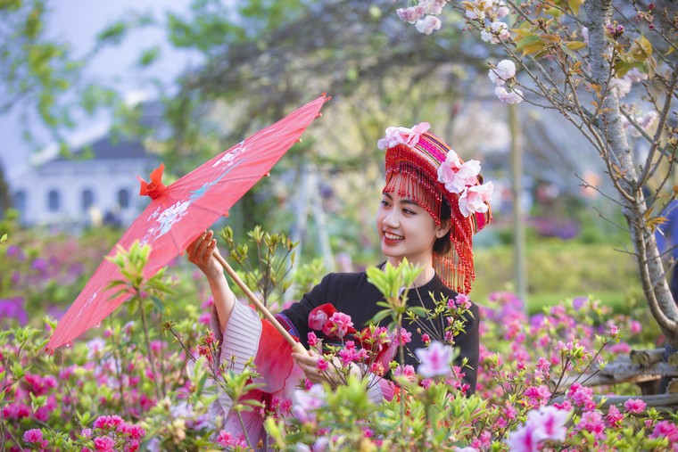 Sun World Fansipan Legend tổ chức Lễ hội hoa hồng dịp 30/4 ảnh 4