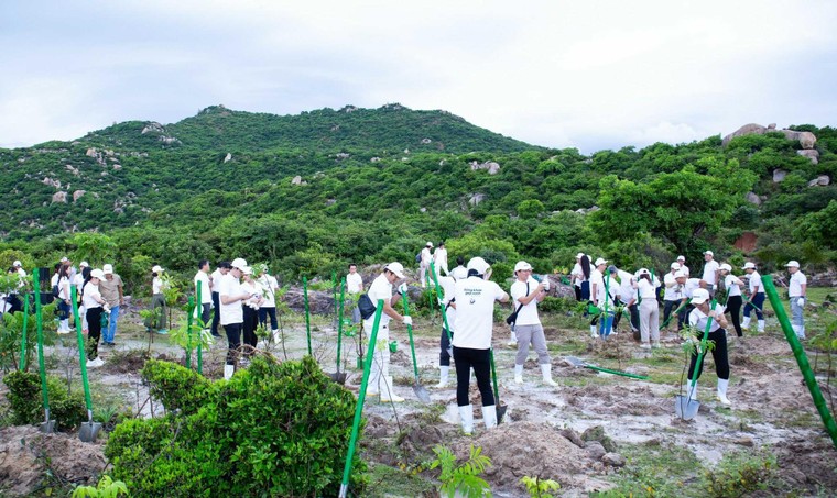 Panasonic Việt Nam tái khởi động chương trình trồng rừng 'Sống khỏe góp xanh 2023' ảnh 1