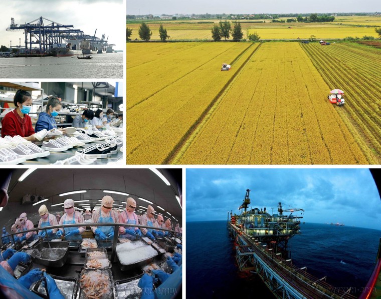 49 năm non sông liền một dải - Kỷ niệm Ngày giải phóng miền Nam, thống nhất đất nước ảnh 2