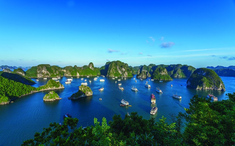 Hội nghị ban chấp hành WFUCA lần thứ 43: Thúc đẩy vai trò và đóng góp của Phong trào UNESCO toàn cầu ảnh 1