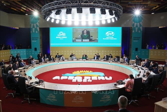 Khẳng định vị thế Việt Nam trong dòng chảy thời đại ảnh 5