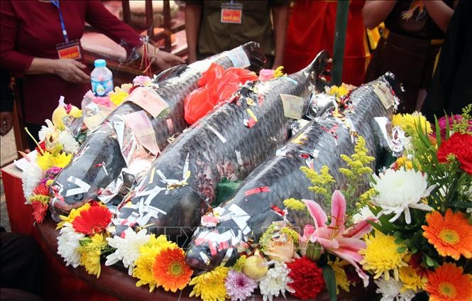 Tế cá trắm sống: Điểm nhấn tâm linh tại lễ hội đền Gin ảnh 1