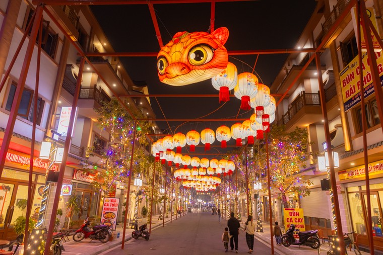 Khẳng định nghệ thuật Việt qua tác phẩm đèn lồng đẹp nhất thế giới ảnh 7