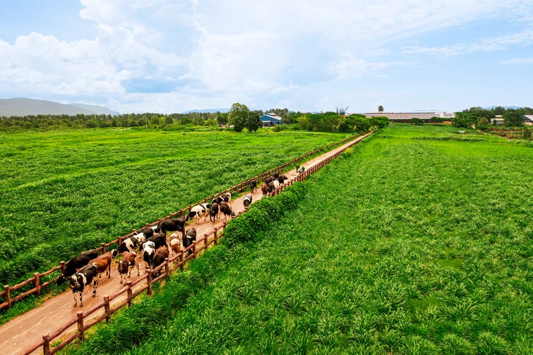 CEO Mai Kiều Liên nói gì sau 2 năm “chuyển mình” toàn diện của thương hiệu tỷ đô ảnh 3