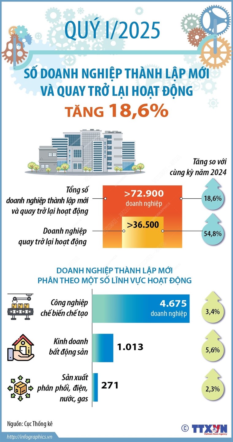 Quý I/2025, số doanh nghiệp thành lập mới và quay trở lại hoạt động tăng 18,6% ảnh 1