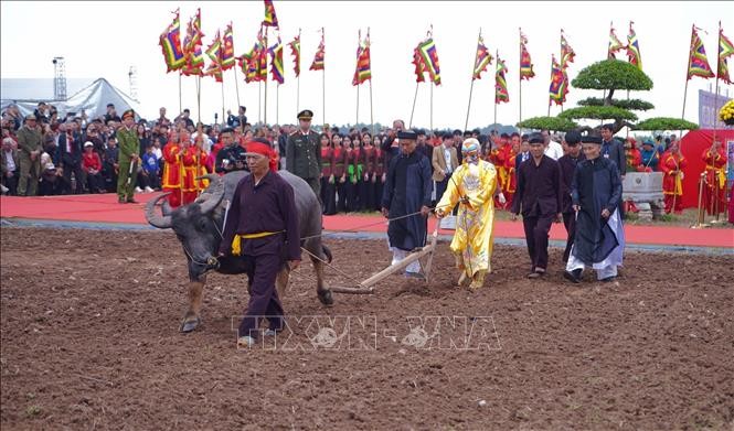 Hàng nghìn người dự Lễ Tịch điền Đội Sơn và Khai hạ Lăng Ông Bà Chiểu ảnh 1