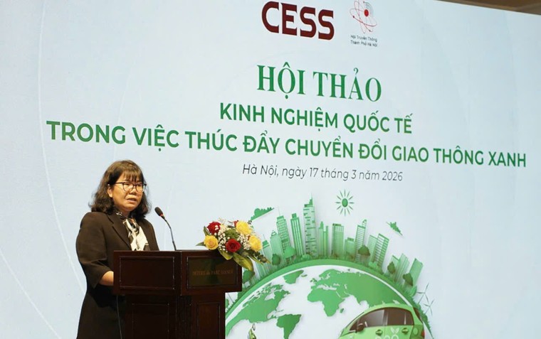 Hà Nội tham khảo kinh nghiệm quốc tế nhằm thúc đẩy giao thông xanh, phát thải thấp ảnh 1