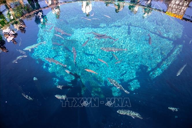 Vẻ đẹp cổ tích của ngôi làng cổ dưới chân núi Phú Sĩ ảnh 2